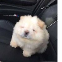 Tyler (@tyler06395150) 's Twitter Profile
