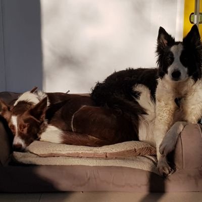 JackLes28267307's profile picture. My interests are politics, economics, philosophy, history and mythology. My motto is Discipline, Pragmatism and Respect