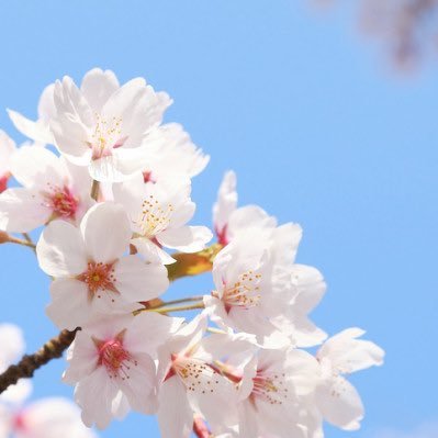 東京学芸大学の新入生向けに、様々なお役立ち情報を発信していきます！気になることは質問箱へ※このアカウントは現在個人が運営しています。特定の団体や個人に関する質問はお答えできかねます。