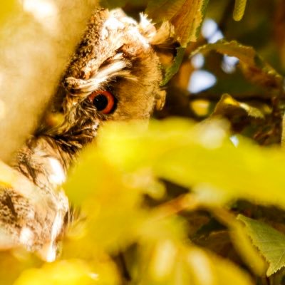 AlexisDaire's profile picture. ouh