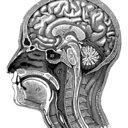 Timothy Carman, MD - @TimothyCarmanMD - Twitter