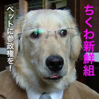 山本犬郎 ちくわ新鮮組 Tikuwainurou Twitter