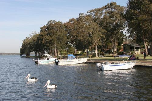 22 comfy cabins, 40+ spacious powered sites, on gorgeous Lake Macquarie, an hour's drive north of Hornsby (Sydney)