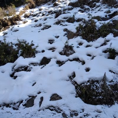 syedqumar77's profile picture. yes