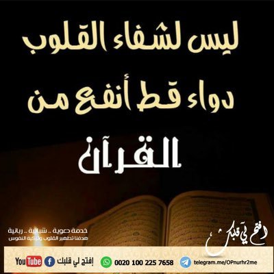 gish1e7rzodlkp7's profile picture. 