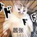 timmmm (@time383766471) Twitter profile photo timmmm (@time383766471) Twitter profile photo