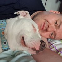 @mattyboosh.bsky.social (@mattyb00sh) 's Twitter Profile