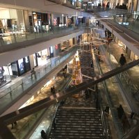 【stock】本気で株式投資 (@stock202030) 's Twitter Profile Photo