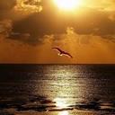 Gricelda Jiménez - @Gricbonita - Twitter