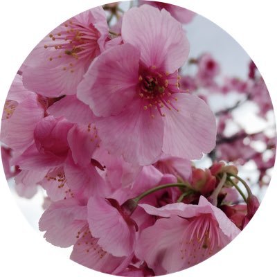 ともるん Tomorun Kawaii Twitter ともるん Tomorun Kawaii Twitter