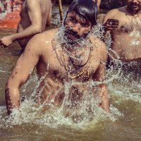 प्रखर विराज (@thakurvirajsin) 's Twitter Profile Photo