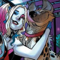 ▪️🔸 Harley Quinn de Los Animales (@pro_animalhq) 's Twitter Profile