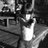 arianatrinneer's profile image