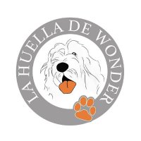 La Huella de Wonder(@HuellaWonder) 's Twitter Profile Photo