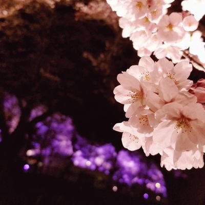 てんてんさんのプロフィール画像
