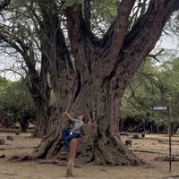 Karla Schaefer (@karlaschaefer) 's Twitter Profile