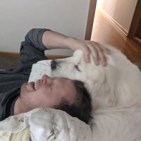 ʎʇɹǝɟɟɐꓶ uoɹɐⱯ (@zenrandom) 's Twitter Profile