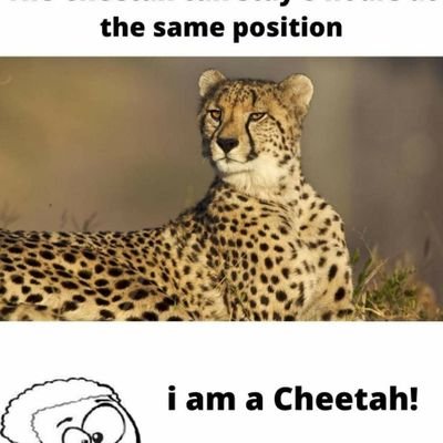 macborkar's profile picture. Die-hard Shanatics and Yuvian... Shahid Kapoor & Youraj Singh both are my inspiration... Software Engineer  by profeesion...Passionate Programmer..