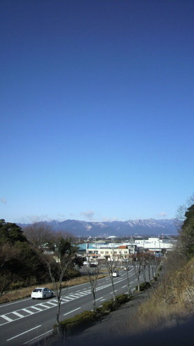 好きなもの　苺珈琲　花美人　懐手して宇宙見物