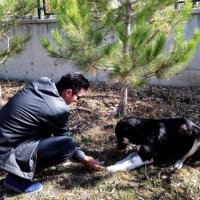 FATİH GÖVERÇIN (@govercin_fatih) 's Twitter Profile