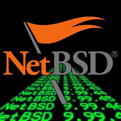 NetBSD_Version's profile picture. grep "define __NetBSD_Version__"