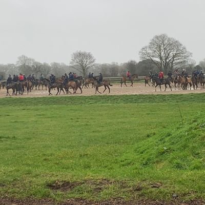 Horse Racing of both codes,Tipperary, Arsenal,