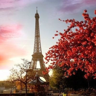 bulletmirz's profile picture. no bio bro