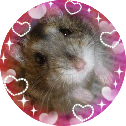 そらまめハム垢 Rairai H Twitter そらまめハム垢 Rairai H Twitter