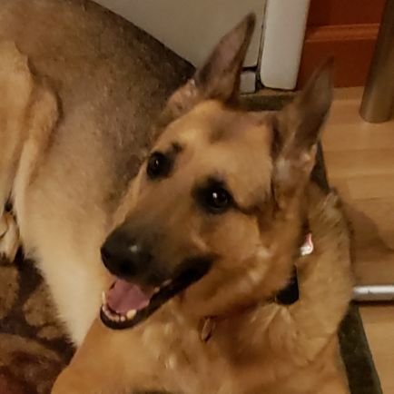 AndrewZavat's profile picture. 