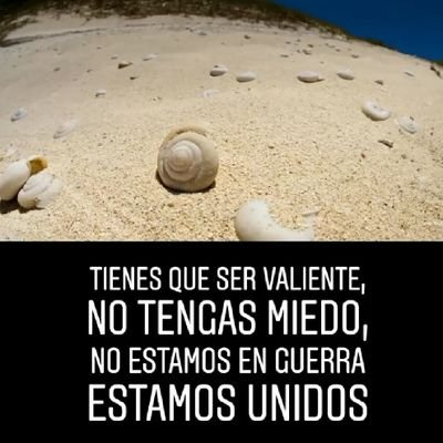 viajerodenubes4's profile picture. 