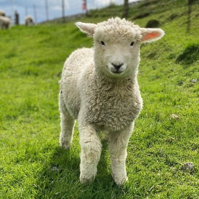 AqilRev's profile picture. Jangan lupa sholat!