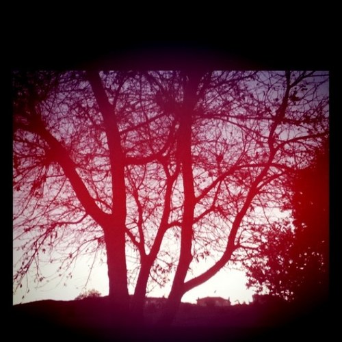 ch0c0lateater's profile picture. 