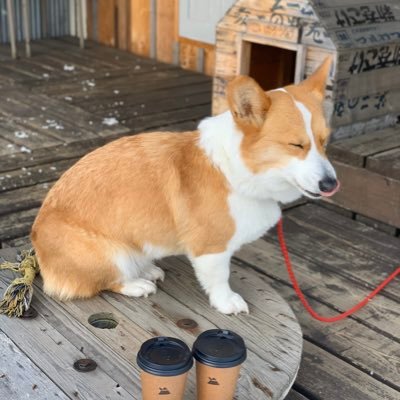 poq__ss's profile picture. (💙)