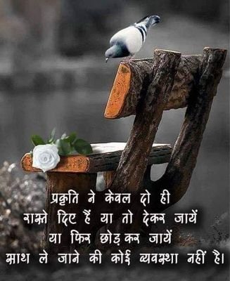 ChhailS05124220's profile picture. 