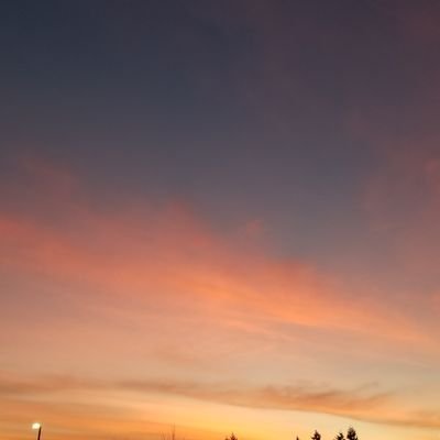 stateevj's profile picture. 👽🌻🏳️‍🌈