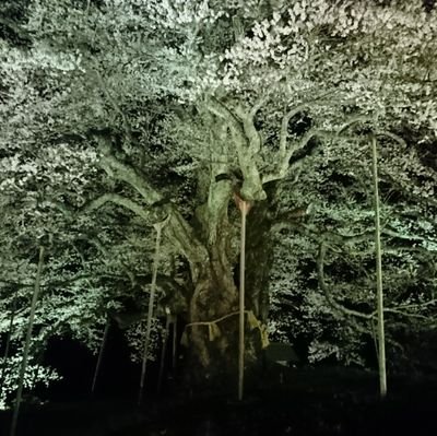 こんにちは 気楽にフォローしてください。
ほとんどツイートしません。
モンストが趣味みたいなおっさんです。
ランク1900 運極1000以上。
大型犬多頭飼い🐕️
