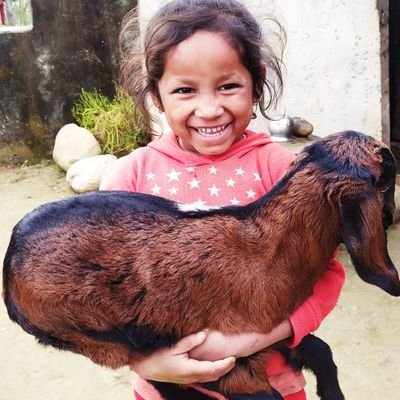 RaajUdaya's profile picture. सपनाहरु नि कति-कति,लेख्न नमिल्ने देख्न नछोडिने--जिन्दगि🌷🌷