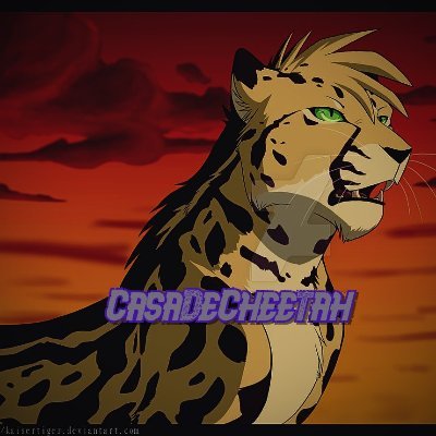 CasaDeCheetah's profile picture. 