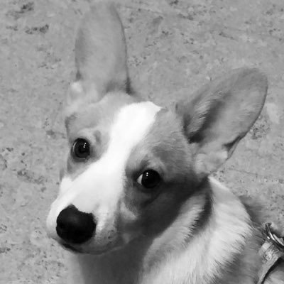 kafaafa's profile picture. 大龄男青年，前网络民工，十八线小导演