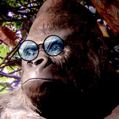 ミステリ小説家　寝ても醒めてもミステリヰ