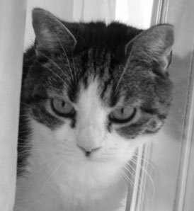 Hekbzz's profile picture. Busy, busy working mum. Love reading, crafting, baking, brewing and spending time with my fab friends & family.