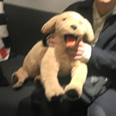 hy_bump's profile picture. 