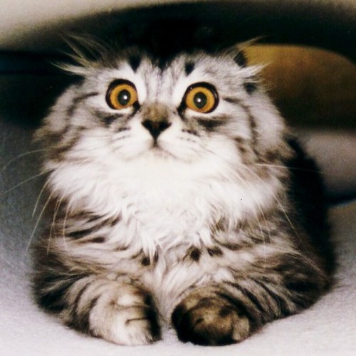 fuku_0826's profile picture. 