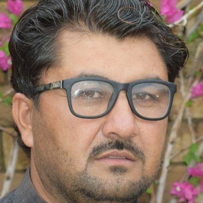 MehsudMustafa's profile picture. student