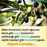 ERCAN Yüksektepe (@ercanyuksektepe) 's Twitter Profile