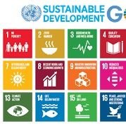Junior  scientists and Data  analysts.....sdgs....