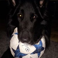 Aki Hyryläinen (@akihyrylainen) 's Twitter Profile