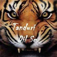 Tanduri Dil Se(@TanduriDilSe) 's Twitter Profile Photo