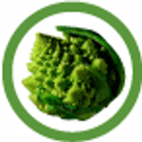 labandadeibroccoli (@bandabroccoli) 's Twitter Profile