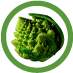 labandadeibroccoli (@bandabroccoli) Twitter profile photo
